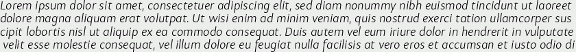 Samo Sans Pro Light Italic
