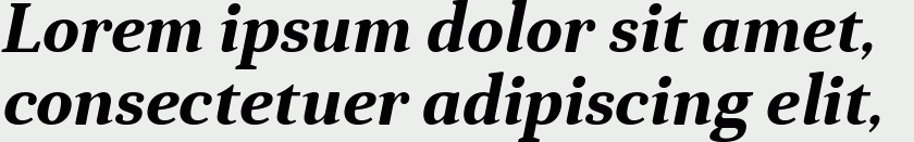 Anglecia Pro Text Bold Italic