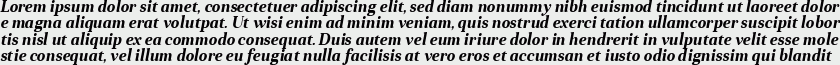 Anglecia Pro Text Bold Italic