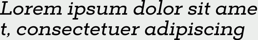 Deposit Pro Medium Italic