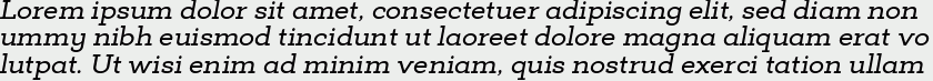 Deposit Pro Medium Italic