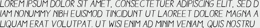 Aracne Regular Italic