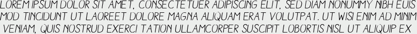 Aracne Regular Italic