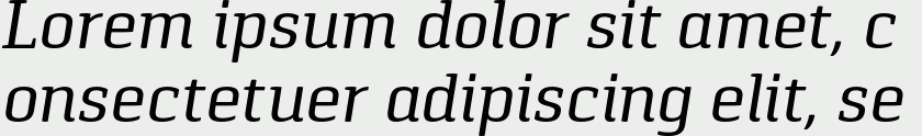 Pancetta Serif Pro Italic