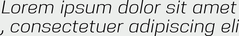 Nuber Italic