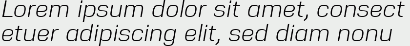 Nuber Italic