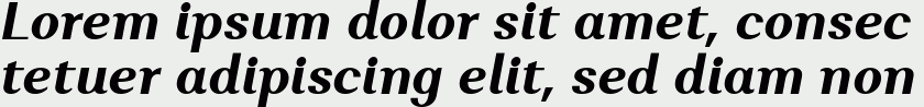 Alethia Pro Bold Italic