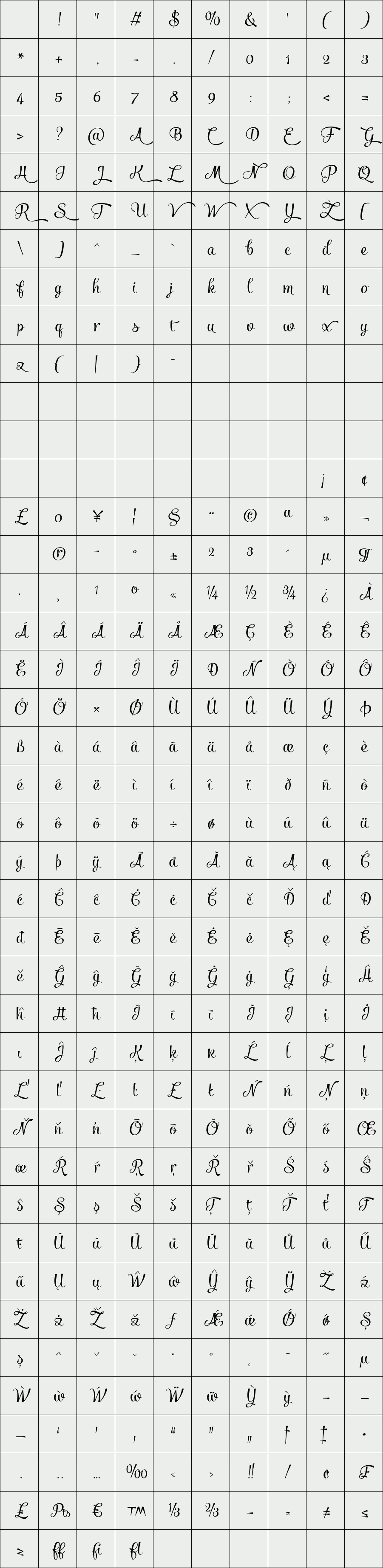 Salamander Script