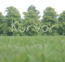 Kurvor