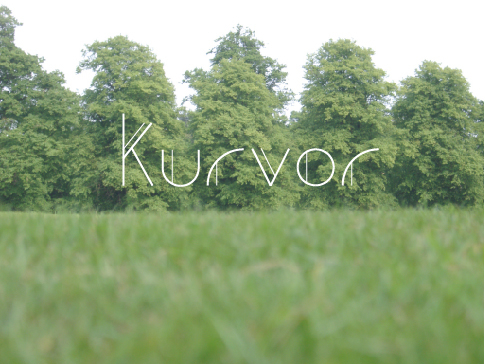 Kurvor