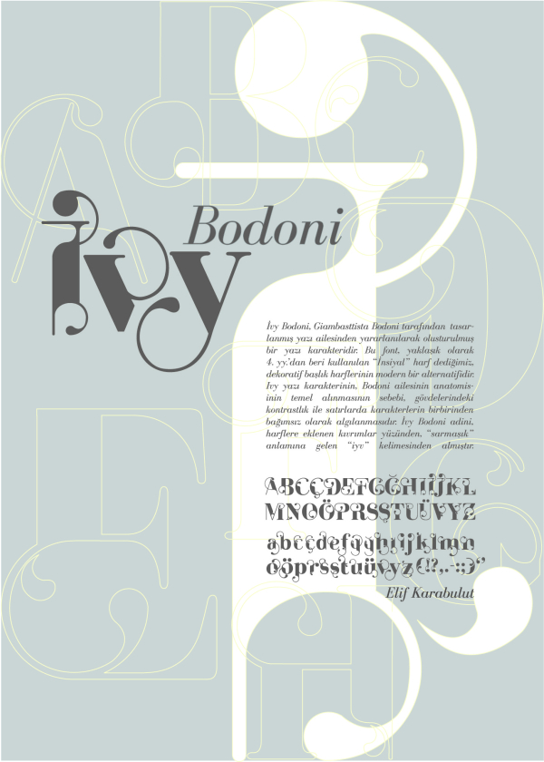 İvy Bodoni