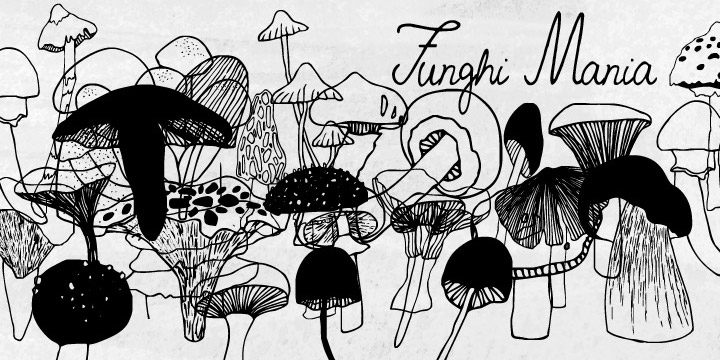 Funghi Mania