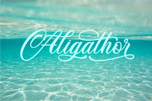 Aligathor