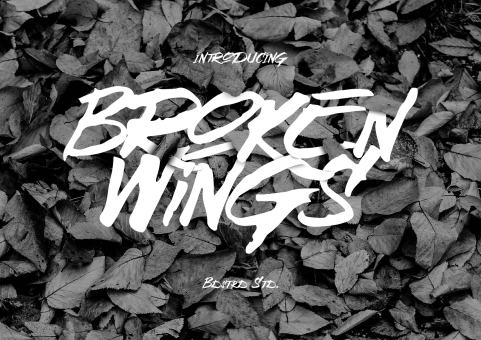 Broken Wings Typeface
