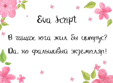 Eva Script